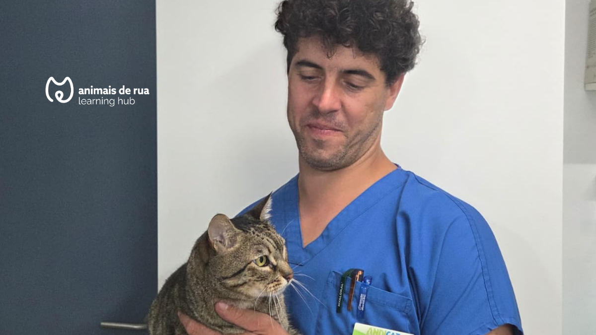 Masterclass: Como cuidares do teu gato sem stress: Medicação, transporte e dicas práticas para o dia a dia — event image